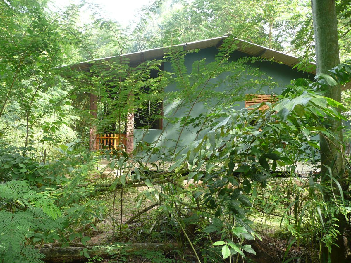 Silent Bungalow Udawalawe Εξωτερικό φωτογραφία