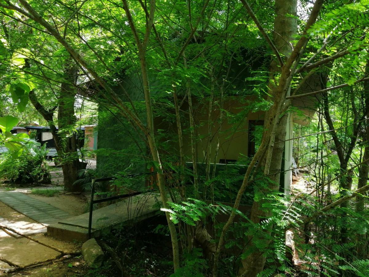 Silent Bungalow Udawalawe Εξωτερικό φωτογραφία